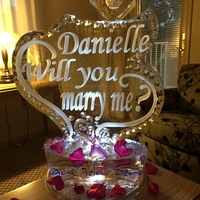 Thumb_marriage_propossal_for_danielle_and_jeff_ice_sculpture