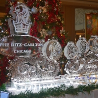 Thumb_swirly_joy_for_the_magnificent_ritz_carlton_chicago_ice_sculpture