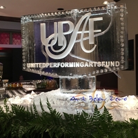 Thumb_united_performing_arts_fund_double_martini_luge_ice_sculpture