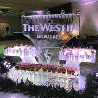 Thumb_cape_cod_ice_sculpture_for_the_grand_opening_of_the_westin_milwaukee