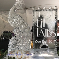 Thumb_zoo_ball_2017_black_tie_and_tails_martini_luge_with_3d_peacock_ice_sculpture