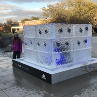 Thumb_adidas_ice_cube_with_running_bibs_frozen_celebrating__whyirunhuskers__adidaswomen__huskers__huskers_in_lincoln__nebraska