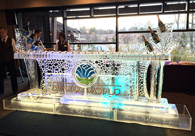 Chicago Ice Bars/Luges