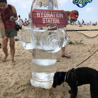 Thumb_fire_hydrant_for_merrick_s_genious_instalation_at_a_dog_beach_in_chicago